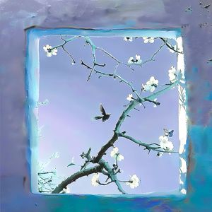 调教小男奴光着小jiji慕宝
