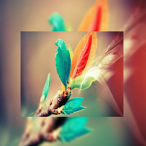 调教小男奴光着小jiji慕宝
