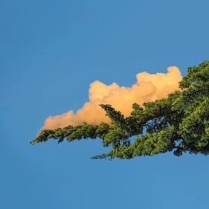 调教小男奴光着小jiji慕宝
