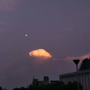 调教小男奴光着小jiji慕宝
